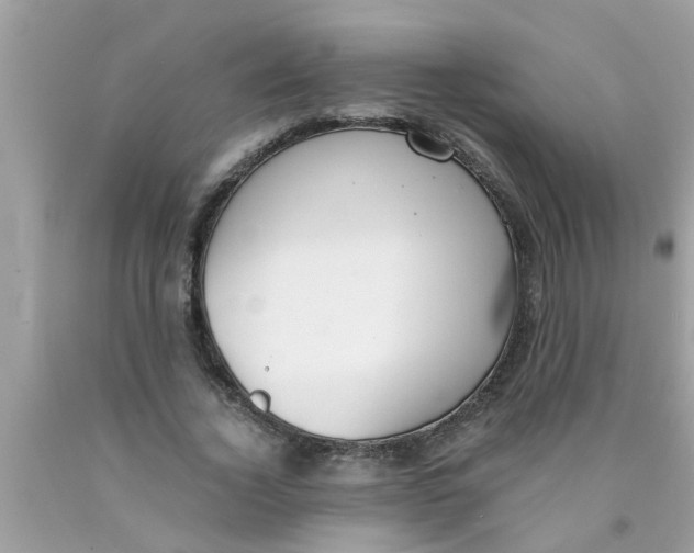 X0000089870732200707262148