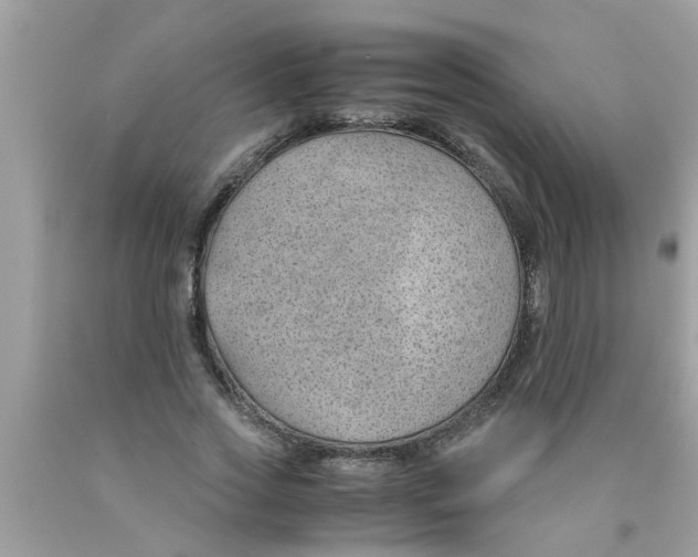 X0000089870733200707262148