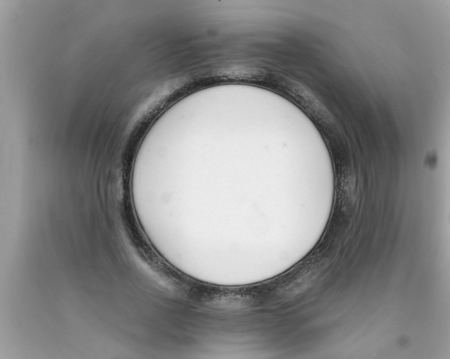 X0000089870734200707262148