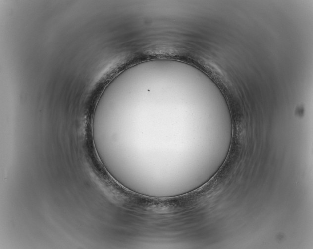 X0000089870735200707262148