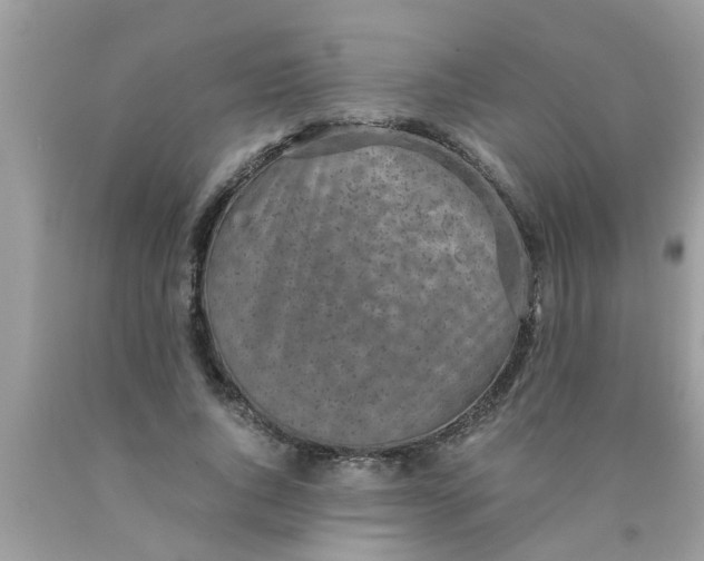 X0000089870736200707262148