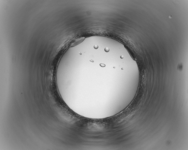 X0000089870739200707262148