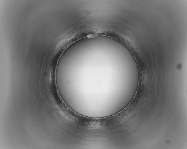 X0000089870740200707262148