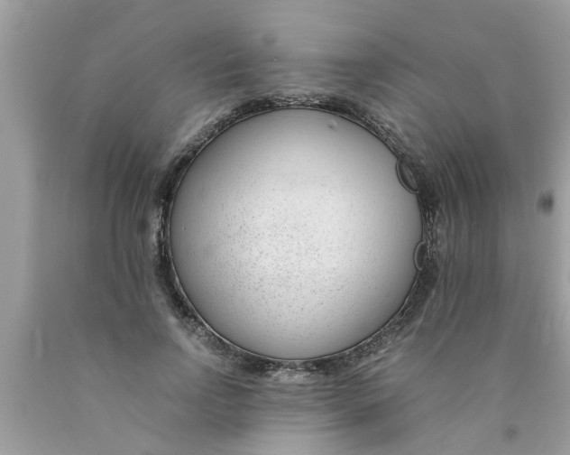 X0000089870742200707262148