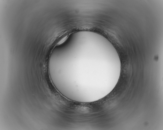 X0000089870743200707262148