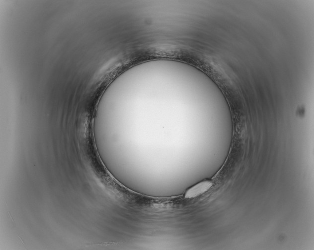 X0000089870744200707262148