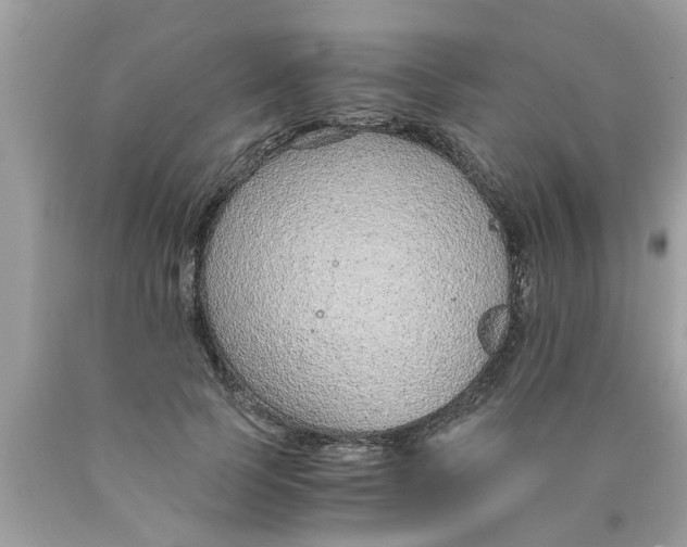 X0000089870745200707262148