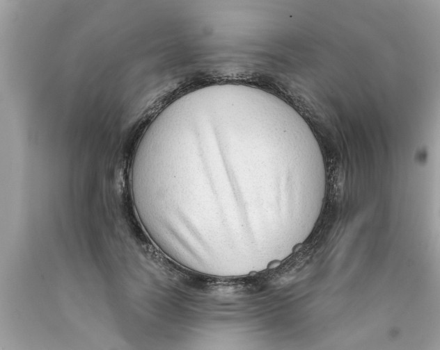 X0000089870746200707262148