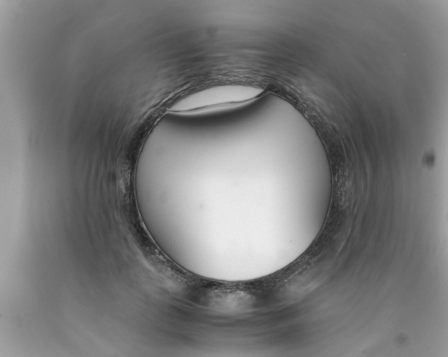 X0000089870747200707262148