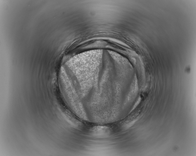 X0000089870748200707262148