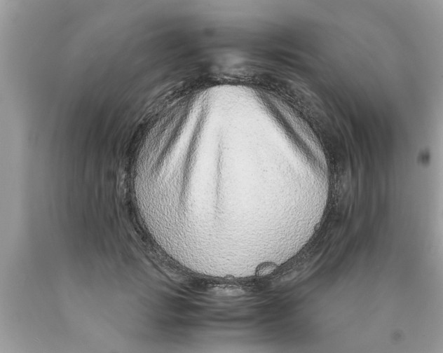 X0000089870749200707262148