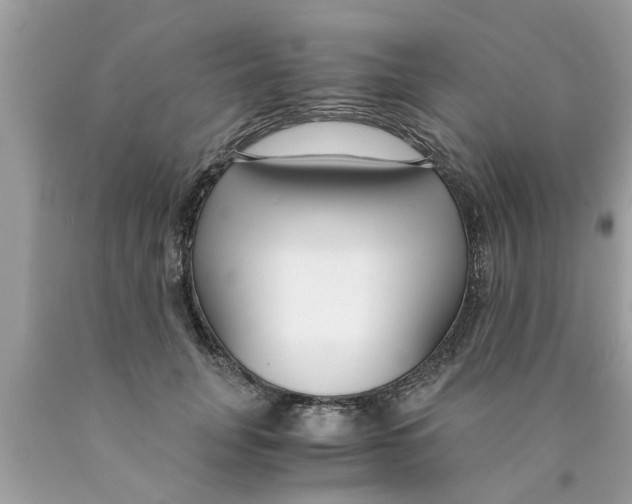 X0000089870751200707262148