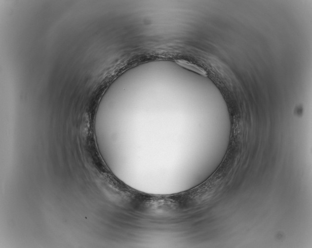 X0000089870752200707262148