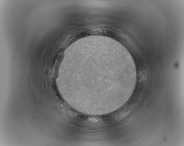 X0000089870753200707262148