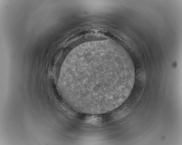 X0000089870754200707262148
