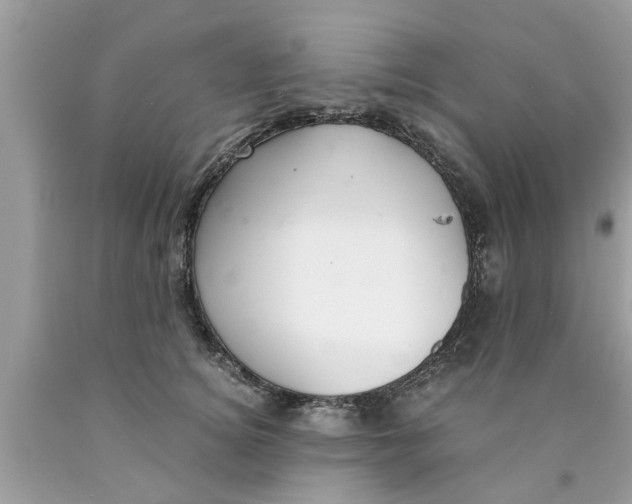 X0000089870756200707262148