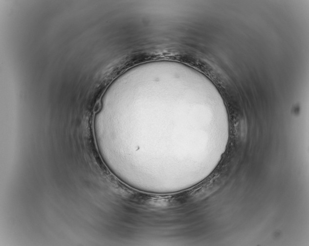 X0000089870757200707262148