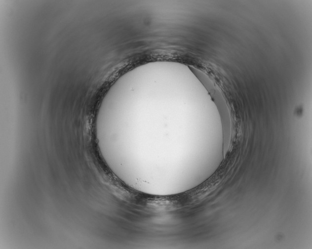 X0000089870759200707262149