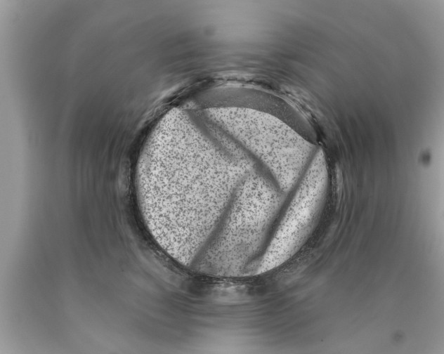 X0000089870760200707262149