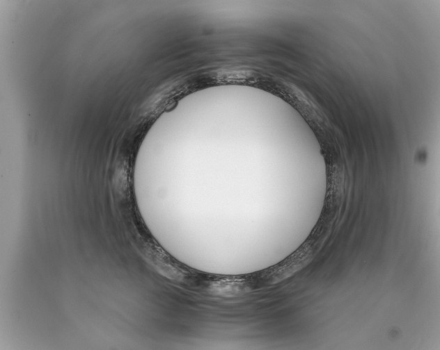 X0000089870761200707262149