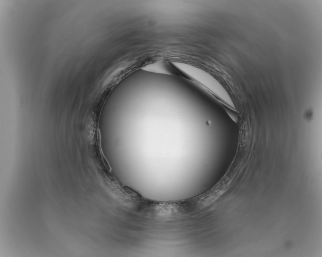X0000089870762200707262149