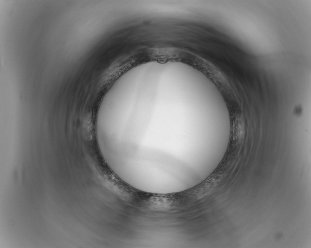 X0000089870764200707262149