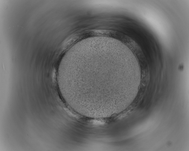 X0000089870765200707262149