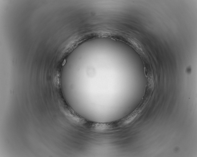 X0000089870766200707262149