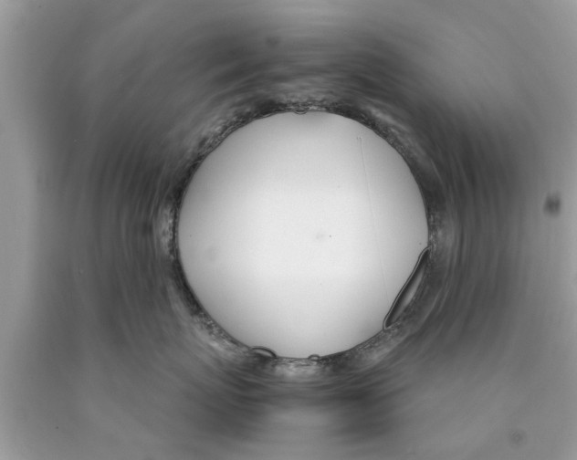 X0000089870767200707262149