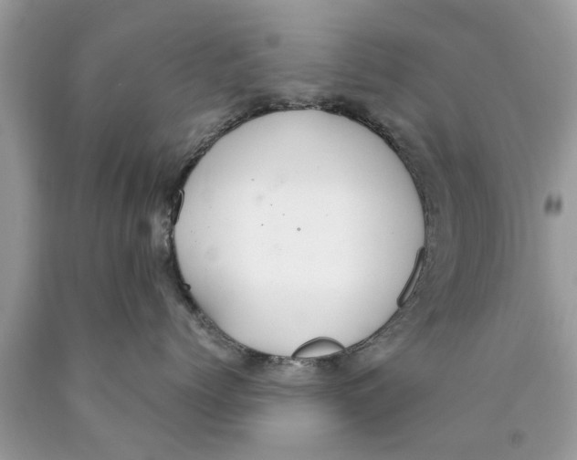 X0000089870768200707262149