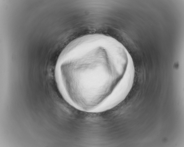 X0000089870770200707262148