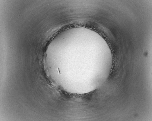 X0000089870773200707262148