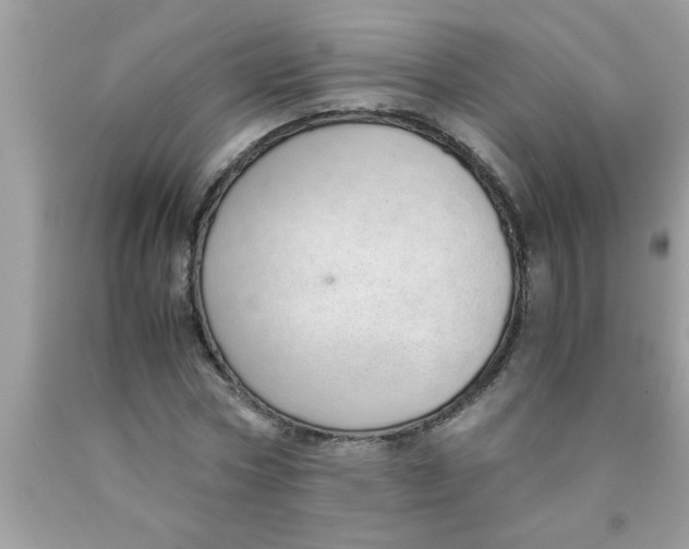 X0000089870778200707262148