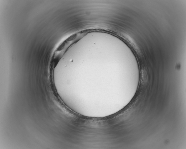 X0000089870780200707262148