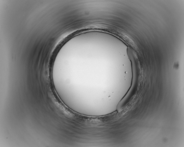 X0000089870784200707262148