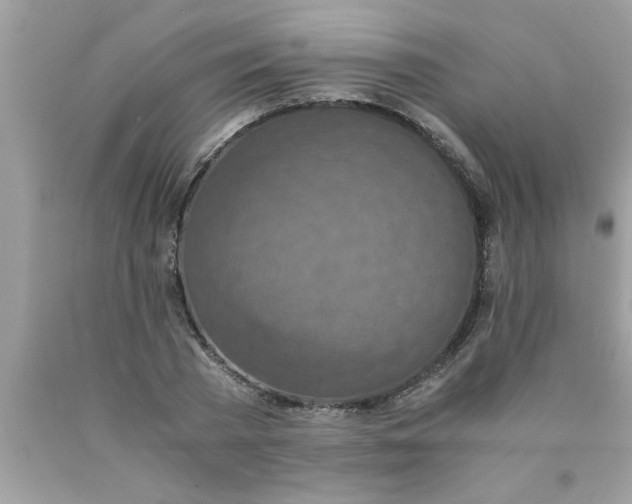 X0000089870785200707262148
