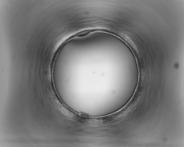 X0000089870789200707262148