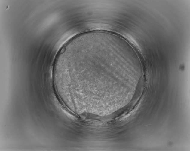 X0000089870790200707262148