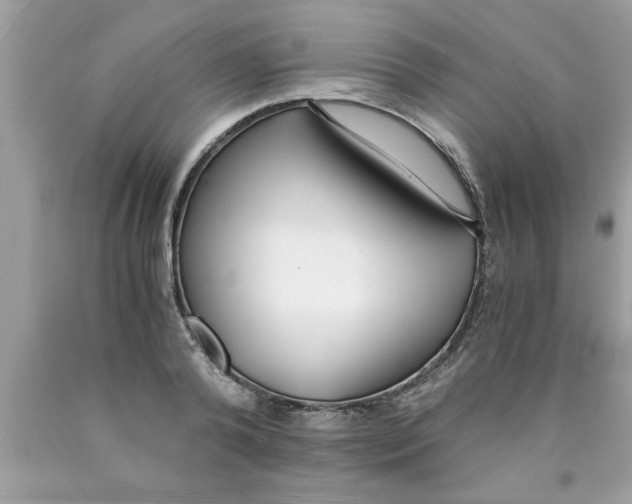 X0000089870792200707262148