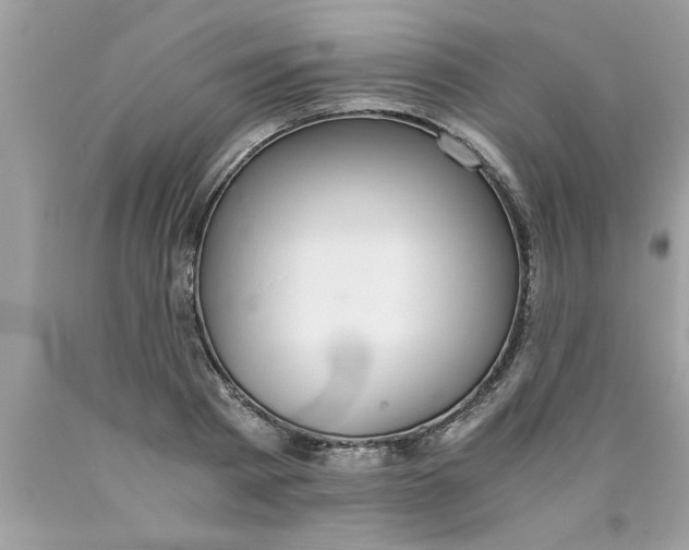 X0000089870793200707262148