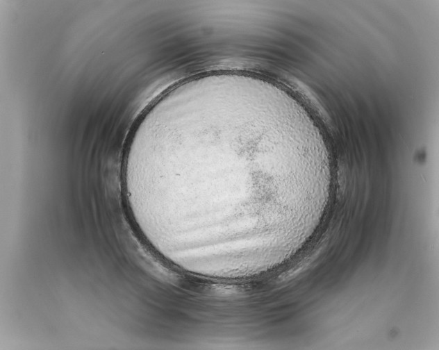 X0000089870794200707262148