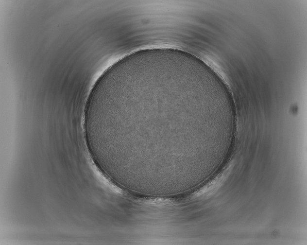 X0000089870797200707262148