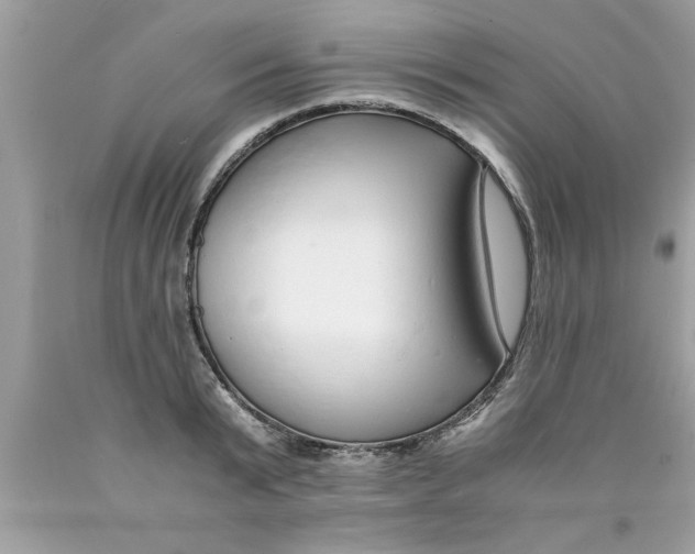 X0000089870799200707262148