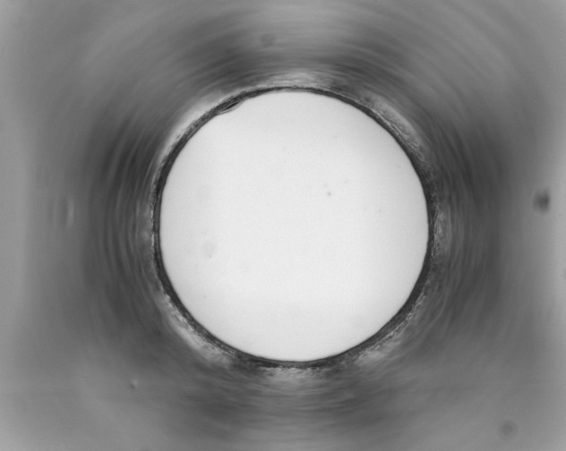 X0000089870800200707262148