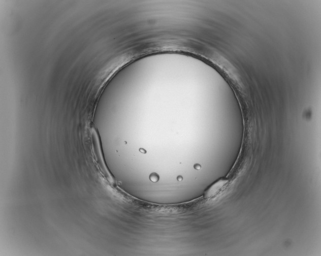 X0000089870801200707262148