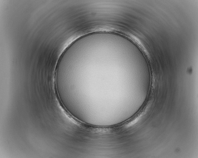 X0000089870802200707262148