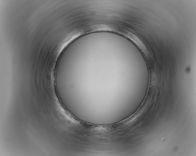 X0000089870806200707262148