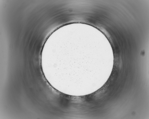 X0000089870807200707262148