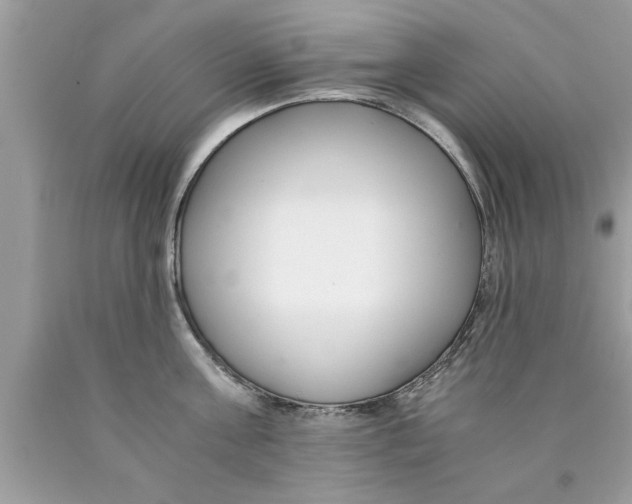 X0000089870811200707262148