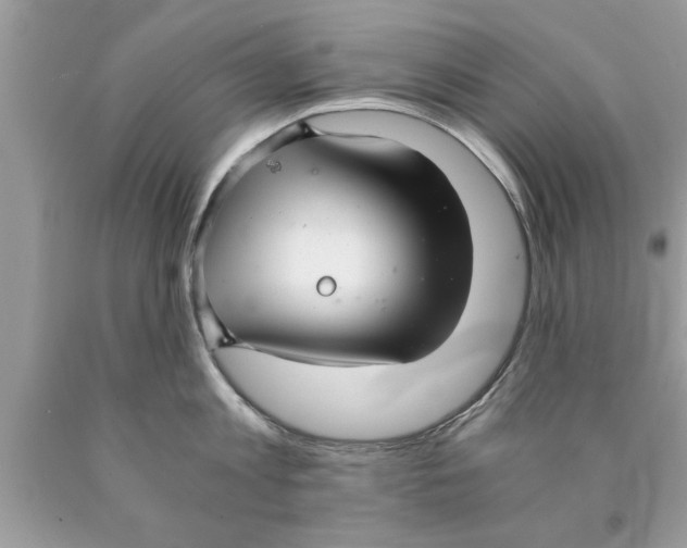 X0000089870813200707262147